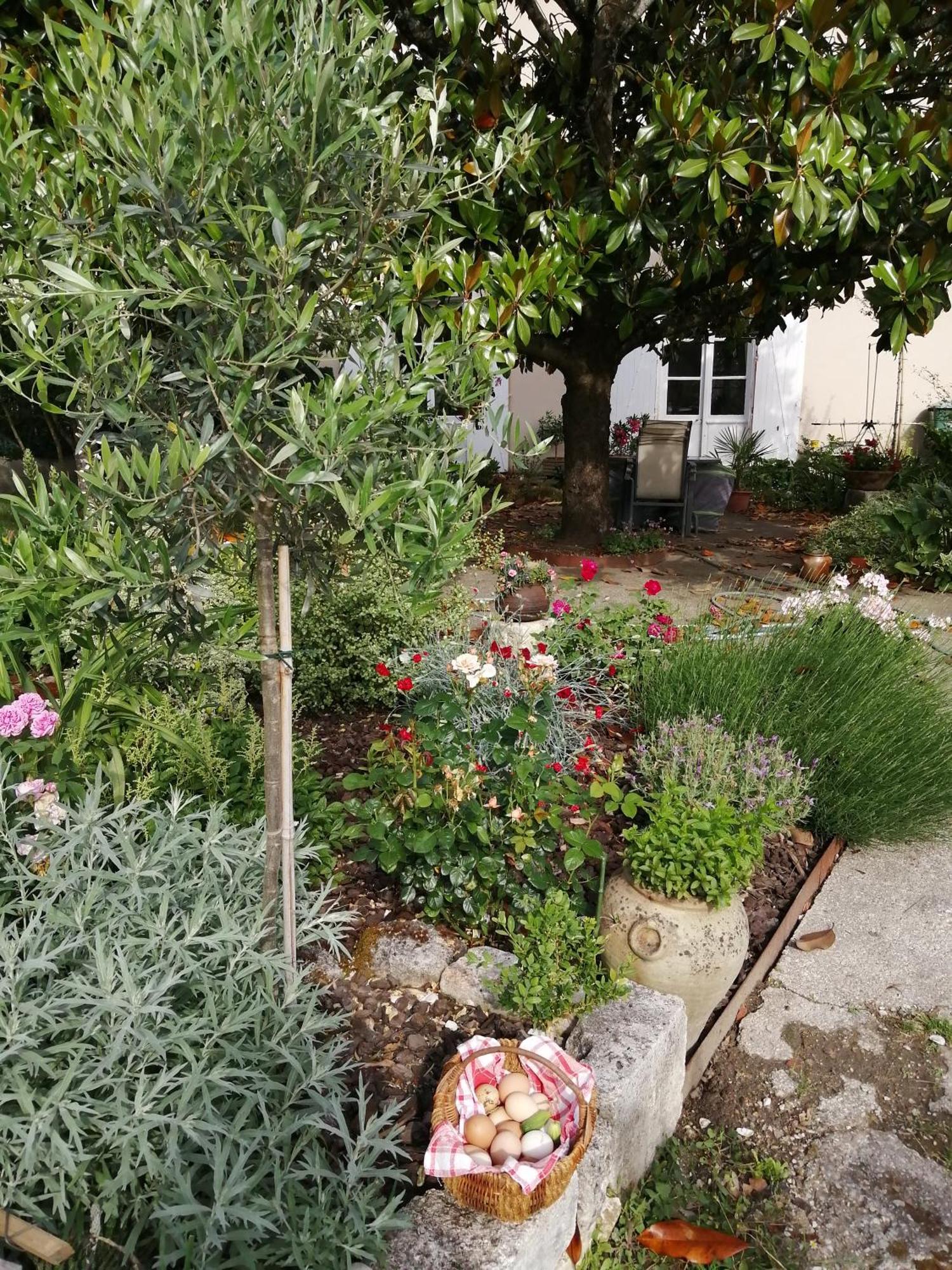 Bed and Breakfast Au Logis De Vechillot Angoulême Esterno foto