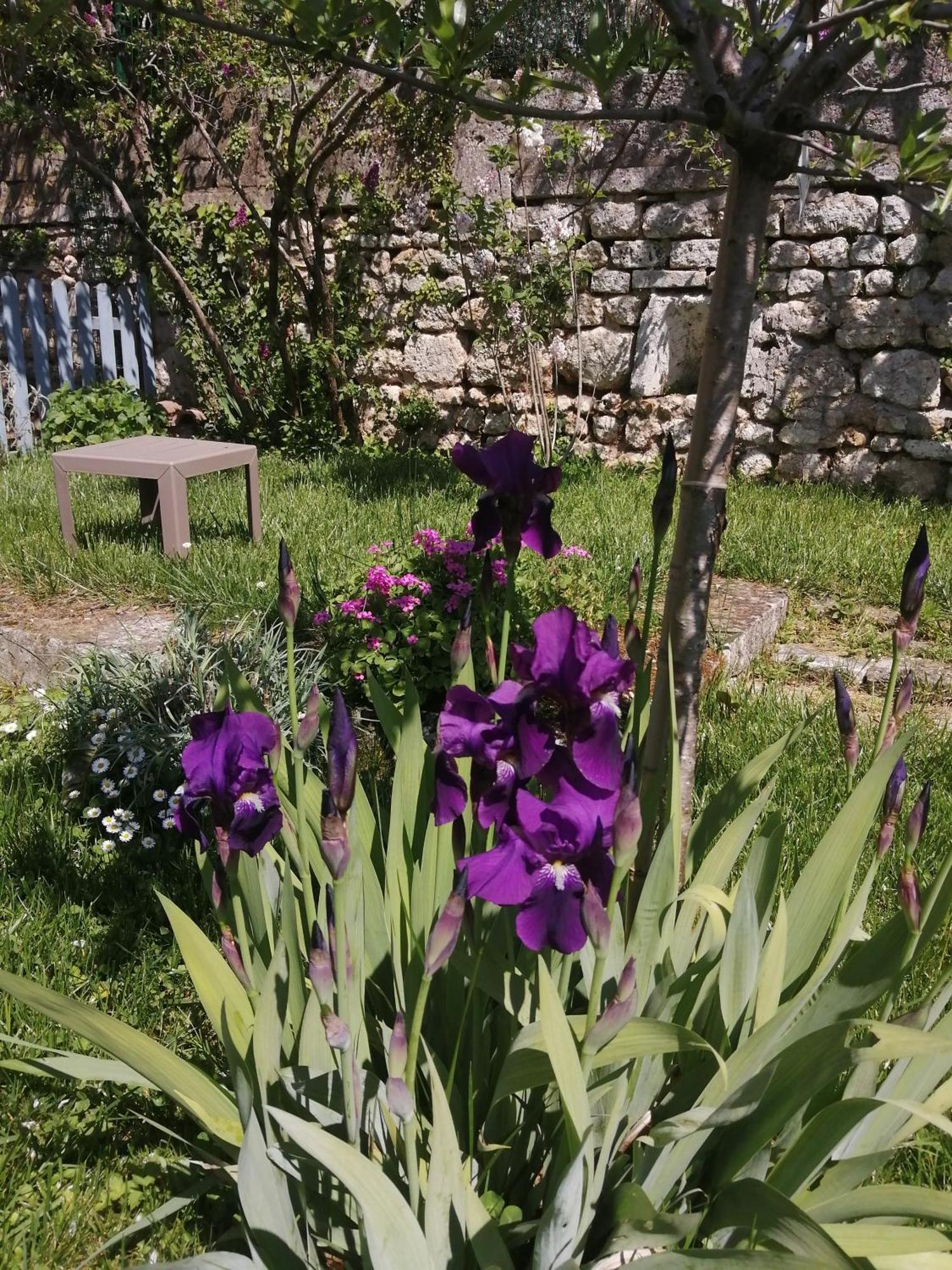 Bed and Breakfast Au Logis De Vechillot Angoulême Esterno foto